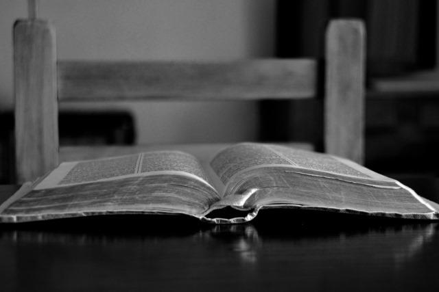 Cómo la Biblia nos enseña a leer la Biblia